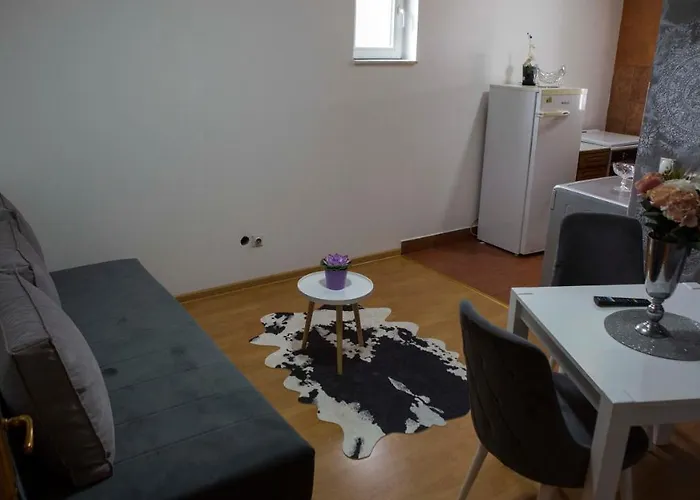 Prva נובי פאזאר